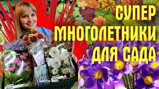 СУПЕР ЦВЕТЫ ДЛЯ ПОСАДКИ В САДУ! Обзор НЕПРИХОТЛИВЫХ многолетников