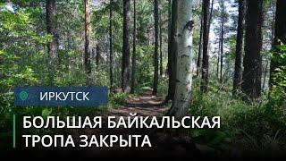 Большая байкальская тропа временно закрыта для туристов из-за медведей