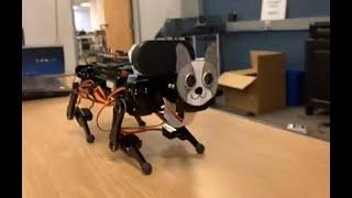 November 2022 - Mark Johnston - Freenove Robot Dog