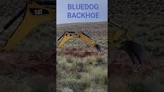 Bluedog Backhoe 719-221-9108 or 229-406-8417 bluedogbackhoe@gmail.com