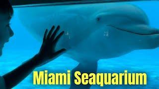 Miami Seaquarum