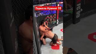 Горила нервничать #бокс #мма #kazmma #бой #mma #ufc #бои #sports #юфс #rek