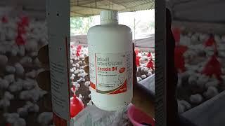 Best antibiotic medicine for me in my Poultry career || Enrosin BH