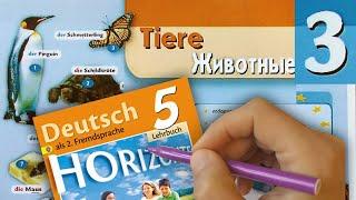 Немецкий язык 5 класс - учебник "Горизонты" Аверин, разбор с переводом ГДЗ [3 глава, тема- ЖИВОТНЫЕ]