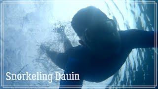 Снорк на пляже в г.Дауин о.Негрос (Snorkeling Dauin)