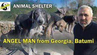 Angel Man from Georgia, Batumi. Animal shelter