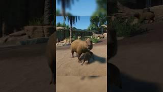 Capybara! | Planet Zoo