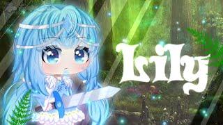 ˚‧º·Lily‧º·˚ |||GLMV||| (2k+ Special)