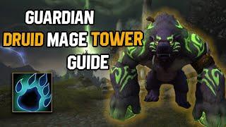 Guardian Druid Mage Tower Guide | Easy & Fast Cheese Guide