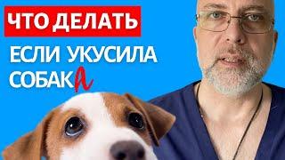 Что делать если укусила собака | Доктор Елизаров: Как обработать рану. Первая помощь