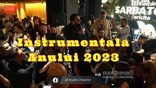 Tzanca Uraganu  Alo - Baza - BazaAlo-Delta-Force Melodia Anului 2023  Live H.D.