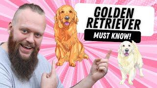 3 THINGS TO KNOW BEFORE GETTING A GOLDEN RETRIEVER