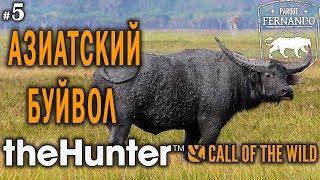 theHunter Call of the Wild #5  - Охота на Азиатского Буйвола - Калибр 338