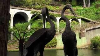 Madeira- Monte Palace- Tropical Gardens 2019