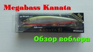 Megabass Kanata обзор воблера. Убийца крупной щуки