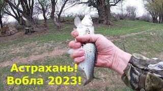 Астрахань! Едем на Воблу! Апрель2023! ч 1.