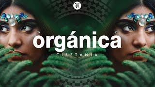 ORGANICA MIX | Finest Organic & Ethno Deep House Music | Dj Mix by Marga Sol