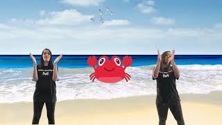 Ocean Jam by Music Movement  Fun Sing-a-long & Action Songs for Kids 