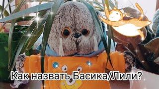 #басик #басики Как назвать Басика/Лили? ~ Оригинальные имя для Басика/Лили