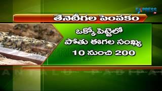 Honey Beekeeping or Apiculture Self Employment for Landless and Unemployed Youth | Paadi Pantalu