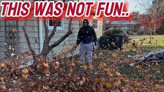 FREEZING Cold Cleanup! Late Fall Leaf Removal Before Winter Hits Hard