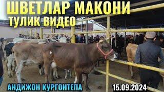 АНДИЖОН КУРГОНТЕПА МОЛ БОЗОР НАРХЛАРИ ТУЛИК ВИДЕО 15.09.2024