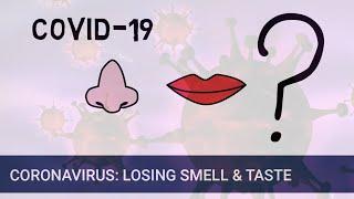 Coronavirus: why might we lose our sense of smell and taste?