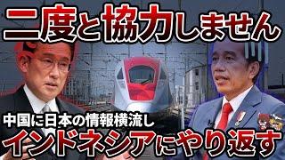 【因果応報】インドネシアで中国製高速鉄道が大事故！？日本を裏切って中国を選んだ末路がヒドすぎる...【ゆっくり解説】