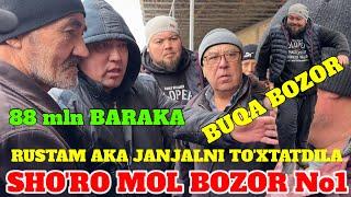 SHO'RO MOL BOZOR BUQALAR RUSTAM AKA 88 mln OLIB OLDIDA 90 mln 300 ming BARAKA QILDI JANJAL ISHKAL 