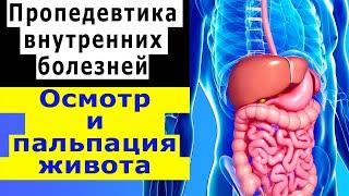 Пропедевтика внутренних болезней | Осмотр живота | Поверхностная и глубокая пальпация живота