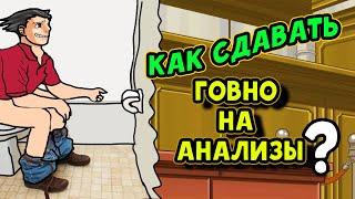 Как сдавать говно на анализы | Пособие по сдаче кала | Ace Attorney