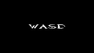 I AM WASD.