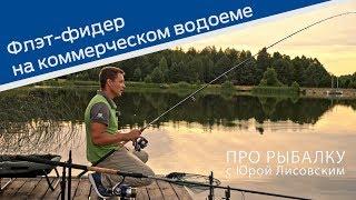 Флэт фидер на коммерческом водоеме. ПРО Рыбалку с Юрой Лисовским.