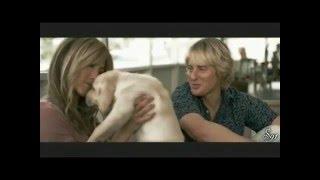 Sygif Pirates & Puppies