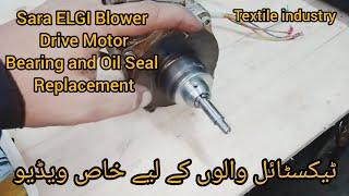 Sara ELGI Blower Drive Motor Bearing and Oil Seal Replacement