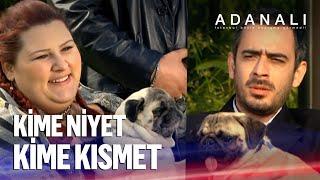 Çete, Rıfkı'ya kız istiyor - Adanalı