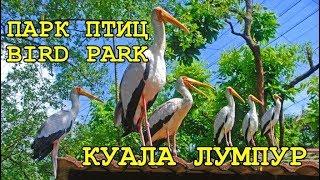 EXCURSION TO THE PARK OF BIRDS OF KUALA LUMPUR MALAYSIA