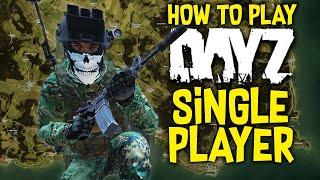 HOW TO PLAY DAYZ IN SINGLE PLAYER