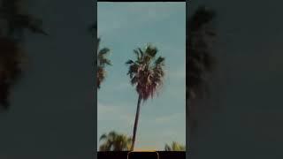 Spain captured on super 8 film ️️ #super8 #film #analog #kodak #vision3 #motionpicture #onfilm