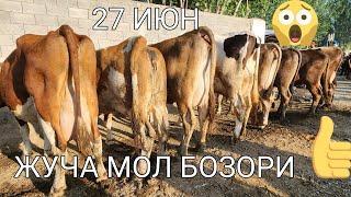 ЖУЧА МОЛ БОЗОРИ ЯНГИ НАРХЛАРИ ELYOR UZ  прямом эфире!