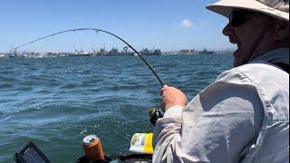 Ghost Shrimp Fishing San Diego Bay @chrisbrandtthebeefshaman