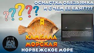 ⭐️️ ОСНАСТКА ОБЕЗЬЯНКА И С ЧЕМ ЕЕ ЕДЯТ️️⭐