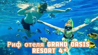 Риф отеля GRAND OASIS RESORT 4* Шарм Эль Шейх