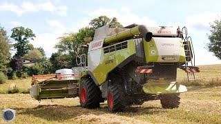  Grain harvest 2024 with CLAAS Lexion 760 Montana [4K]