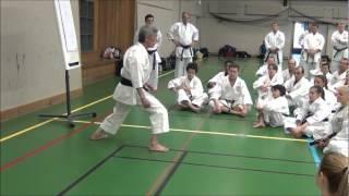 Seminar INOUE YOSHIMI - Hip Joint Relaxation for Zenkutsu-dachi Stepping