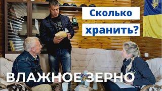 Сколько можно хранить влажное зерно?