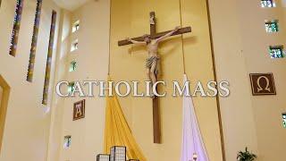 Roman Catholic Mass for June 22, 2025: The Most Holy Body & Blood of Christ