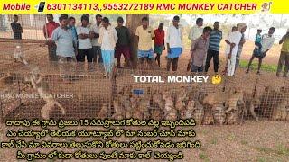 RMC Monkey Catcher# monkey trap# monkey catching video #