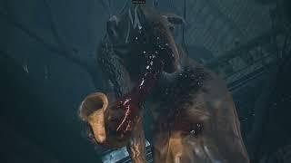 Bloodborne PC - Berserker vs Vicar Amelia - Full Fight - Full Cutscene - 70 +fps - NG+1  - Shadps4 -