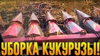 Уборка кукурузы 2019 год./Harvesting corn 2019.